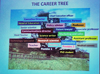 Career tree
