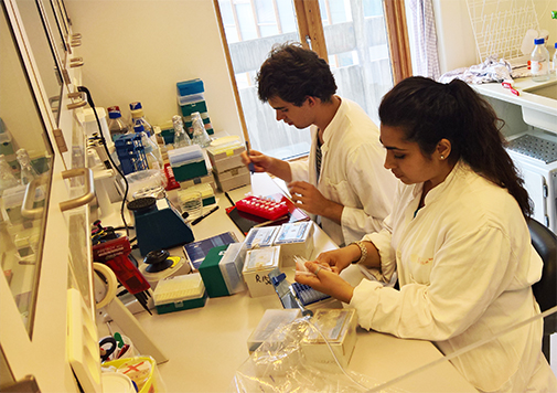 iGEM team students in the lab