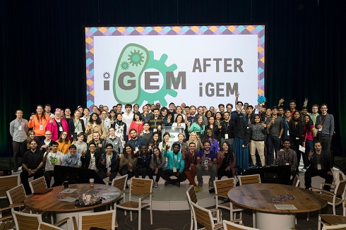 After iGEM Summit 