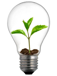 Picture of a plant inside a light bulb