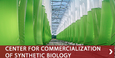The Center for Commercialization of Synthetic Biology