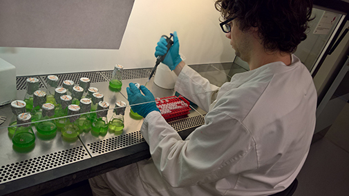 iGEM team member in the lab