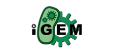 iGEM logo