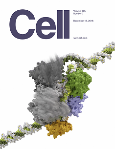 Journal front cover of Cell